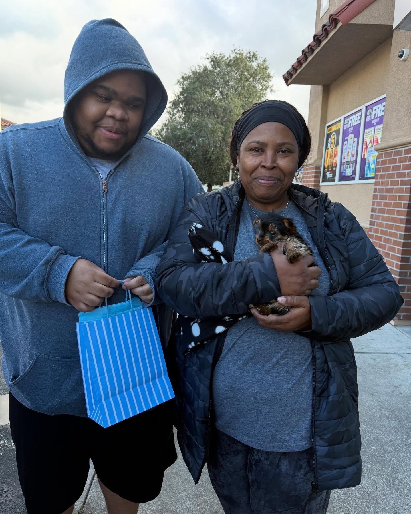 heart yorkie 1740017878 3571851310571951322 8263017460.jpg