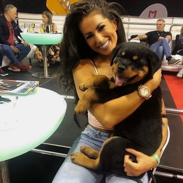 rottweiler puppies22 1661627898 2914268494784124412 50654236303.jpg